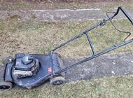 Grajewo ogłoszenia: Nóż uderzył w kamień i padła. Bez tchu. Może komuś na... - zdjęcie